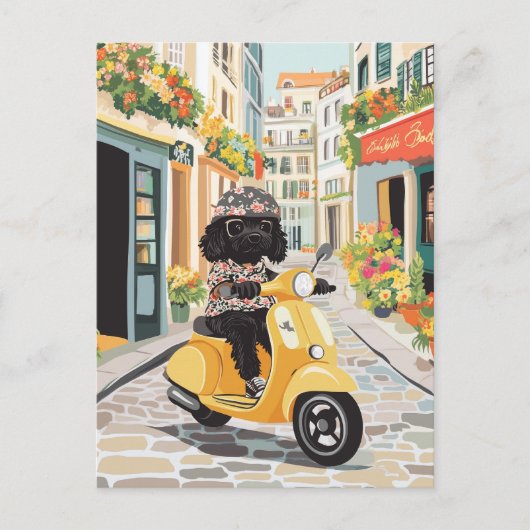 Black Doodle Riding Scooter European City Streets ポストカード (正面)