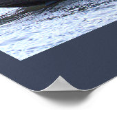 Black Duck Photo Poster ポスター (角)