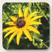 Black Eed Susan with Wasp コースター (正面)