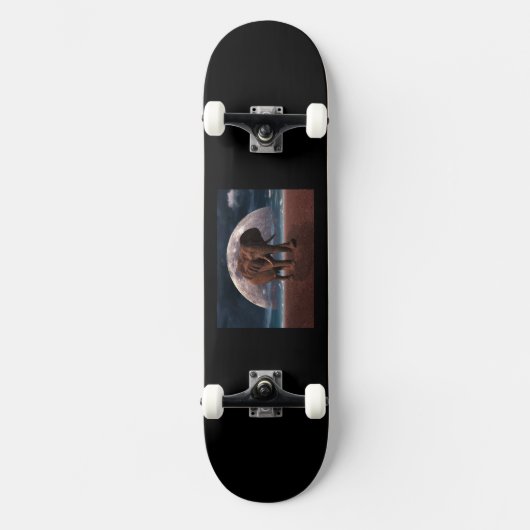 Black Elephant Skateboard スケートボード (正面)