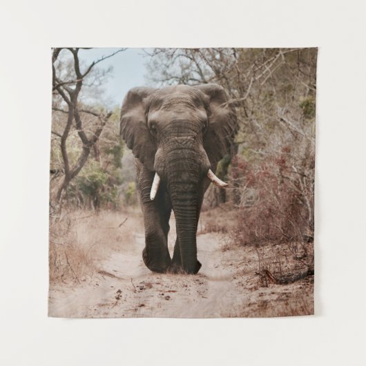 BLACK ELEPHANT WALKING ON BROWN SAND タペストリー (正面)