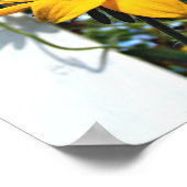 Black Eyed Susan ポスター (角)