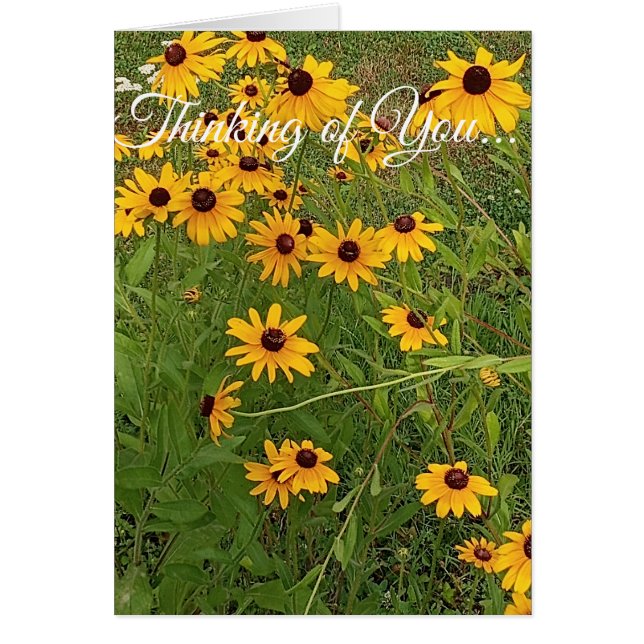 Black-eyed Susans -Thinking of You (正面)