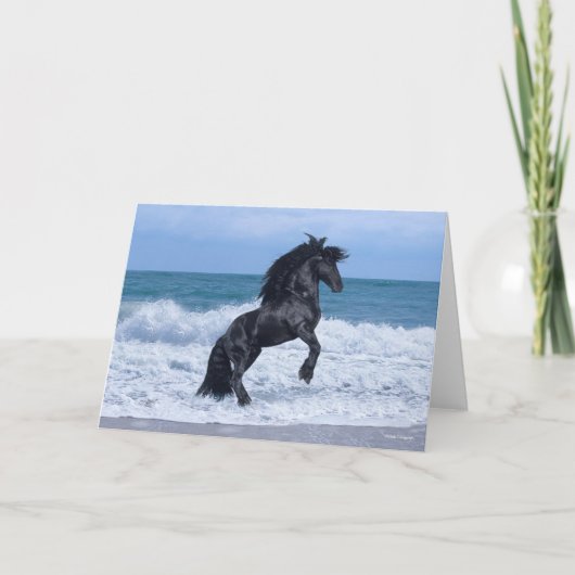 Black Friesian Stallion Rearing In the Sea カード (正面)
