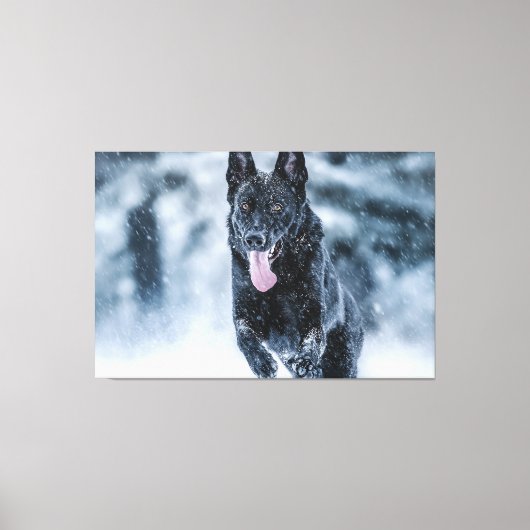 Black German Shepherd in snow Duvet Cover キャンバスプリント (正面)