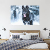 Black German Shepherd in snow Duvet Cover キャンバスプリント (インサイチュ (寝室))