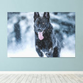 Black German Shepherd in snow Duvet Cover キャンバスプリント (インサイチュ (ウッドフロア))