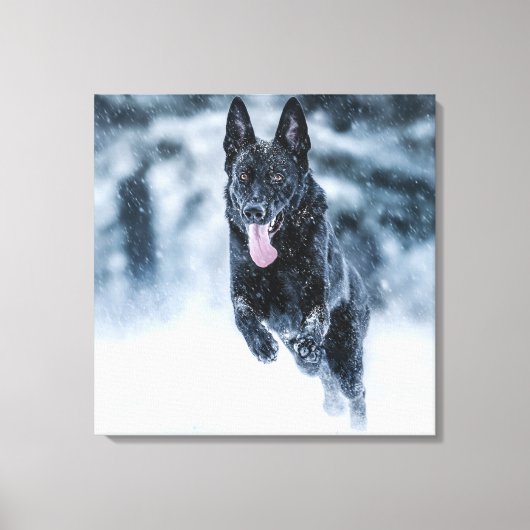 Black German Shepherd in snow Duvet Cover キャンバスプリント (正面)