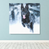 Black German Shepherd in snow Duvet Cover キャンバスプリント (インサイチュ (ウッドフロア))