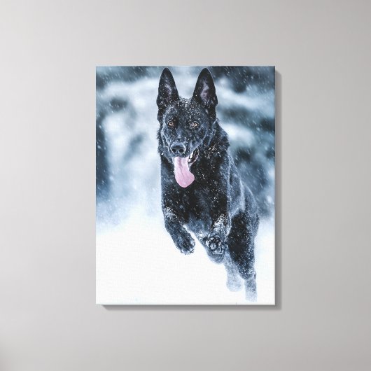 Black German Shepherd in snow Duvet Cover キャンバスプリント (正面)