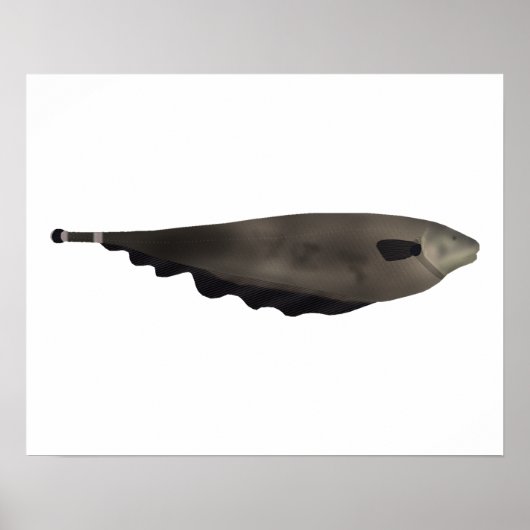 Black Ghost ポスター (正面)