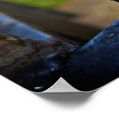 Black & Gold (Fleur de Lis) [Art Print] ポスター (角)