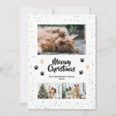 Black Gold Photo Snow Paws Meowy Christmas Card シーズンカード (正面)
