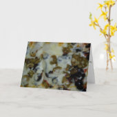 「Black & Green Olives」のカードを取得 カード (黄色い花)