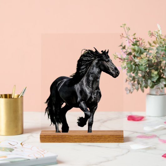 Black horse アクリルサイン (ウェディング)