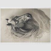 Black Horse in black and white 薄葉紙 (正面)