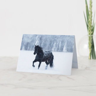 Black Horse in the Snow Greeting Card 招待状