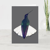 Black Jacobin Hummingbird  カード (正面)