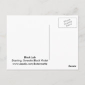 Black Labはがき ポストカード (裏面)