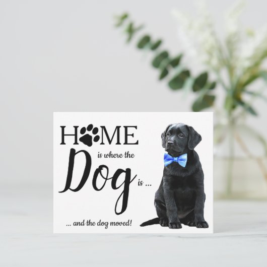 Black Lab引っ越しました犬の移動発表記事 ポストカード (スタンド正面)