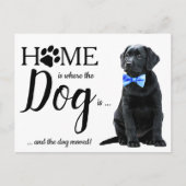 Black Lab引っ越しました犬の移動発表記事 ポストカード (正面)