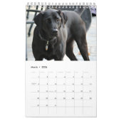Black Lab Calendar Labrador Retriever 2026 カレンダー (3月 2026)