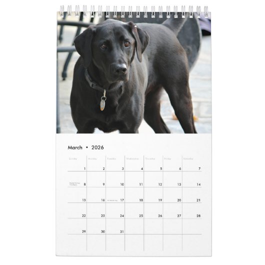 Black Lab Calendar Labrador Retriever 2026 カレンダー (3月 2026)