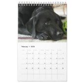 Black Lab Calendar Labrador Retriever 2026 カレンダー (2月 2026)