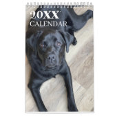 Black Lab Calendar Labrador Retriever 2026 カレンダー (カバー)