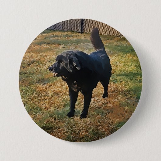 Black Lab In The Lab Sunボタン秋 缶バッジ (正面)