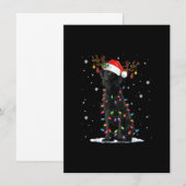 Black Lab Labrador Dog Christmas Lights Xmas Santa 招待状 (正面/裏面)