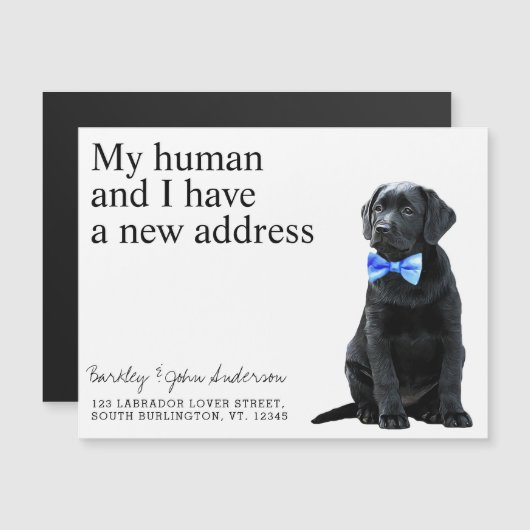 Black Lab New Address Dog Moving Announcement Card (正面/裏面)