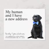 Black Lab New Address Dog Moving Announcement Post ポストカード (正面)