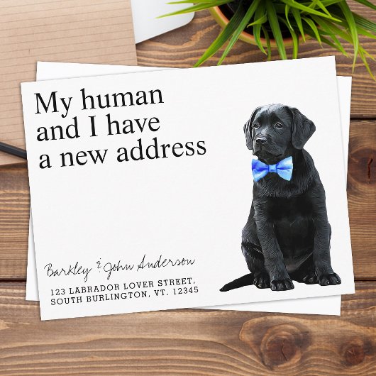 Black Lab New Address Dog Moving Announcement Post ポストカード