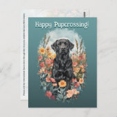 Black Lab Postcrossing – ポストカード (正面/裏面)