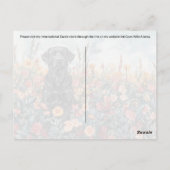 Black Lab Postcrossing – ポストカード (裏面)