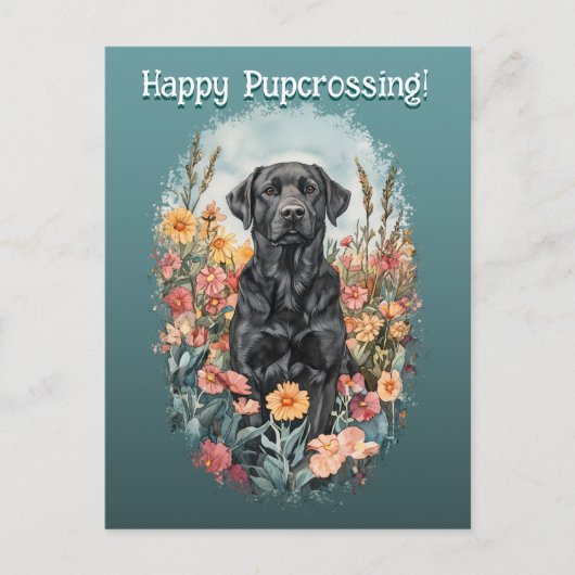 Black Lab Postcrossing – ポストカード (正面)
