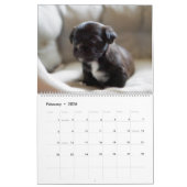 Black Lab Puppies Calendar Puppy Dog Labrador カレンダー (2月 2026)
