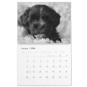 Black Lab Puppies Calendar Puppy Dog Labrador カレンダー (1月 2026)