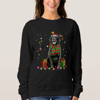 Black Lab Santa Christmas Tree Lights  Xmas Pjs Bo スウェットシャツ