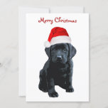 Black Lab Santa Dog Merry Christmas -ラブラドール犬 シーズンカード<br><div class="desc">この愛らしいメリークリスマスブラックラブラドールサンタカードでクリスマスの挨拶を送る。Back : Merry Christmas ～愛と笑いと喜びでいっぱいのホリデーシーズンを願う。メリークリスマス&ハッピーニューイヤー。家族の名前と家族の名前でパーソナライズ。この黒いラブラドールのクリスマスカードはラブラお気に入りのドール愛好家の間にある。ブラックラボのクリスマスカード、ホームデコール、ギフトのコレクションを参照する。COPYRIGHT © 2020 Judy Burrows,  Black Dog Art - All Rights Reserved</div>