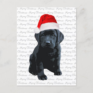 Black Lab Santa Dog Merry Christmas -ラブラドール犬 シーズンポストカード