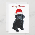 Black Lab Santa - Merry Christmas - Santa Dog 招待状<br><div class="desc">この愛らしいブラックラボサンタドッグと招待状の友達と家族のクリスマスパーティー – このサンタドッグの黒いラブラドールのクリスマス招待カードはラブラドール愛好家の間でお気に入りのある。すべてのパーティー詳細でパーソナライズ。ブラックラボクリスマスカード、ホームデコール、ギフトのマッチングのための私たちのコレクションを訪問。COPYRIGHT © 2020 Judy Burrows,  Black Dog Art - All Rights Reserved Merry Christmas招待状.</div>