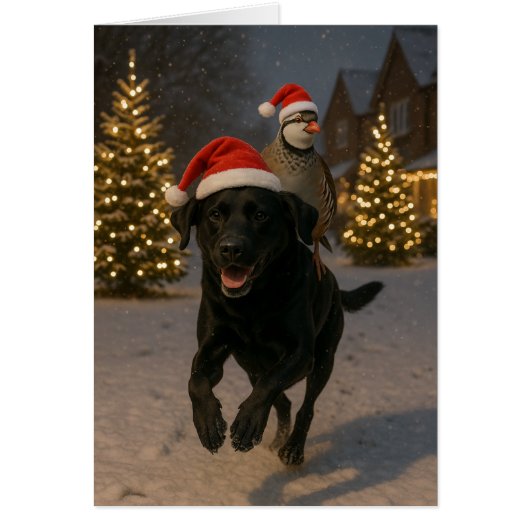 Black Labrador and Partridge Christmas card (正面)