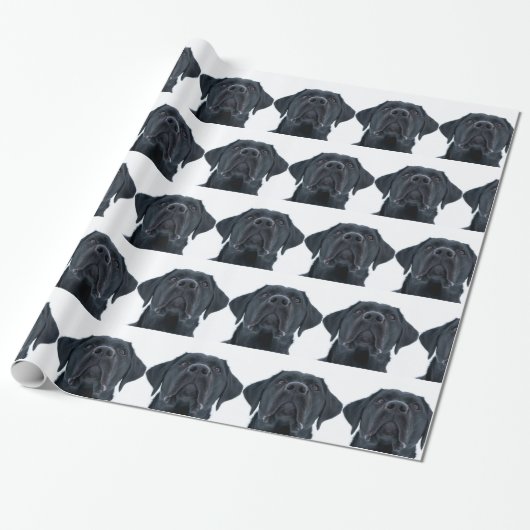 Black Labrador Facing ラッピングペーパー (アンロールド)