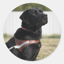 Black Labrador Guide Dog Graduation Envelope Seal ラウンドシール