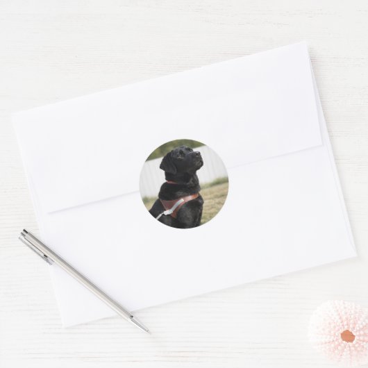 Black Labrador Guide Dog Graduation Envelope Seal ラウンドシール (封筒)