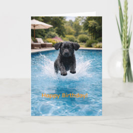 Black Labrador Puppy Pool Plunge | Cute Summer  カード