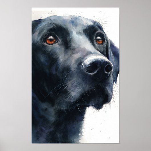 Black labrador retriever watercolor ポスター (正面)