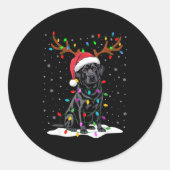 Black Labrador Santa Hat Reindeer Tree Lights Chri ラウンドシール (正面)